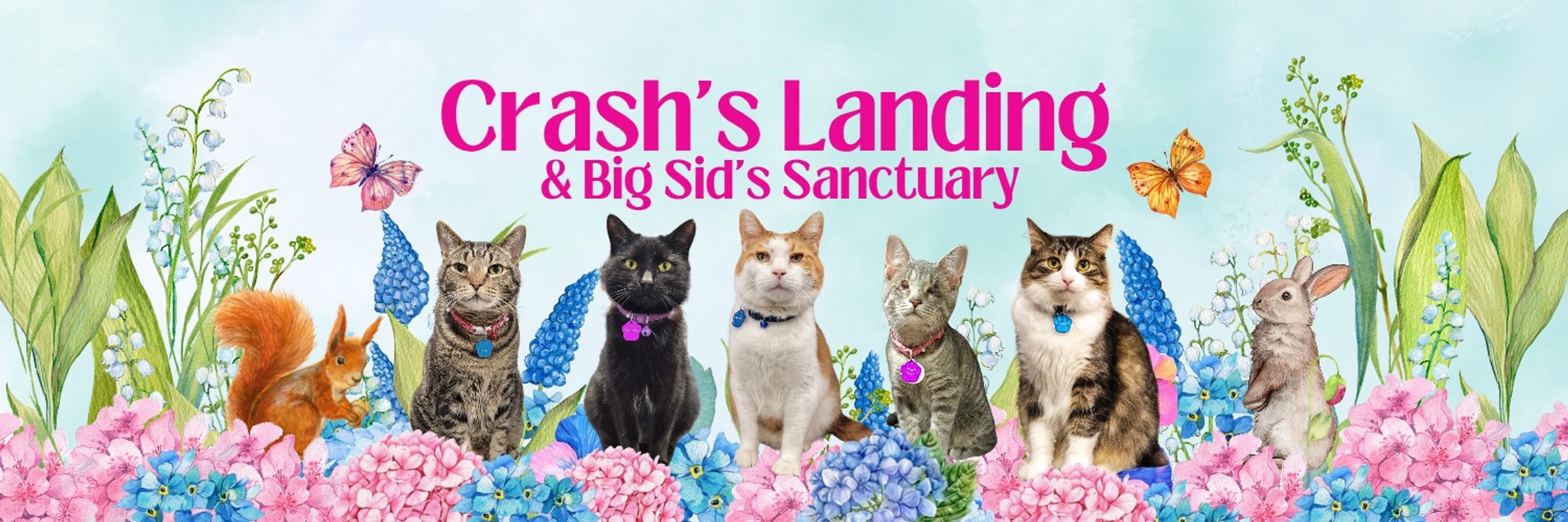 Crash's Landing