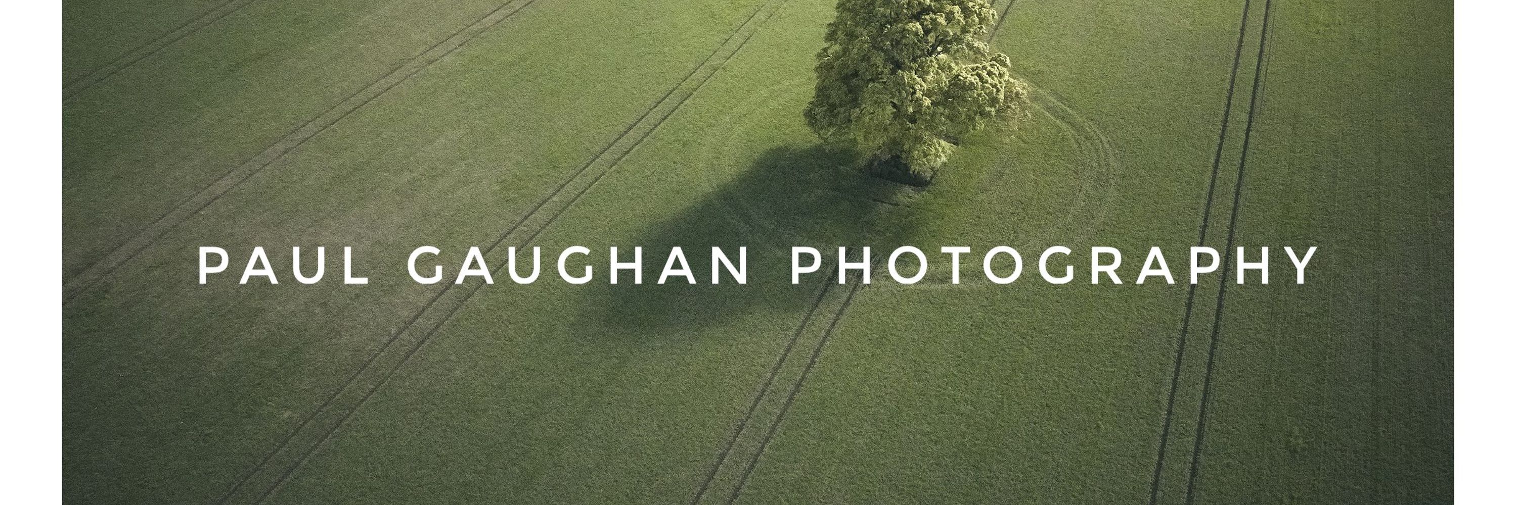 Paul Gaughan