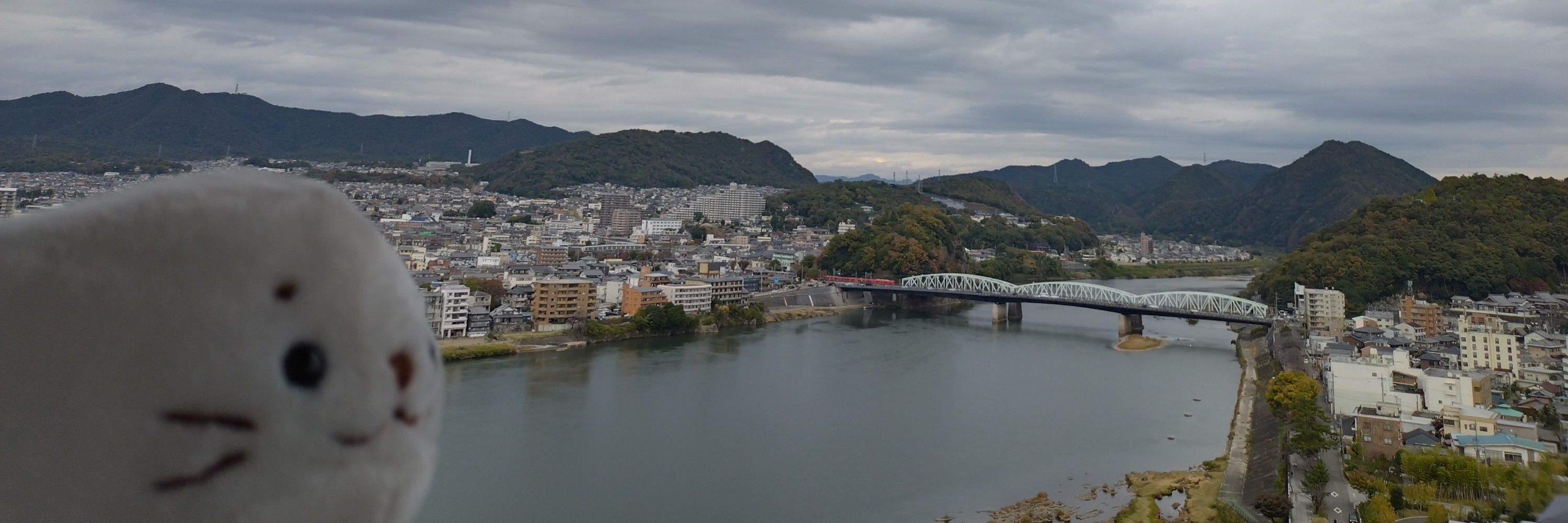 きっさら