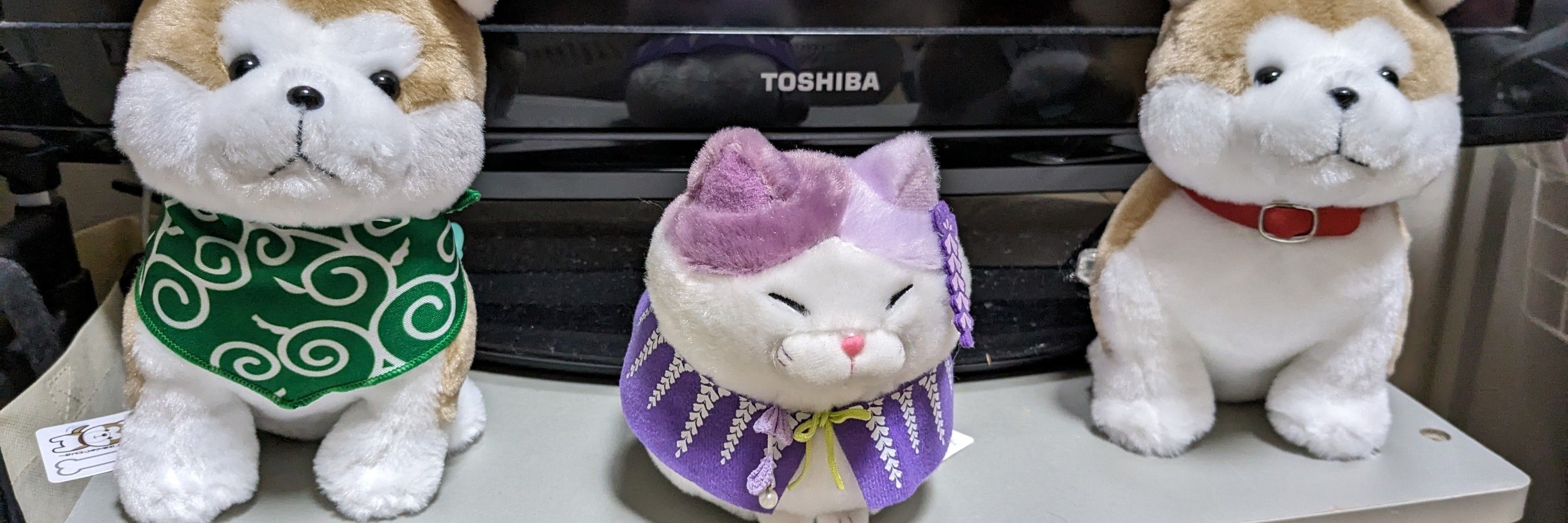 トオコ