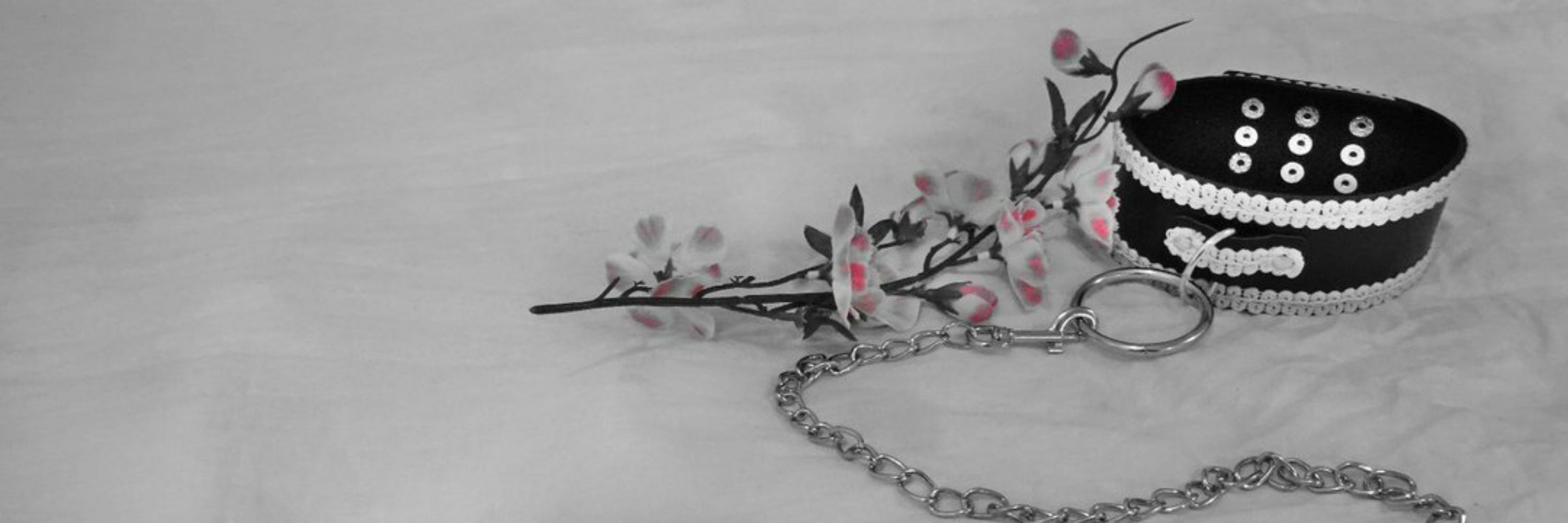 Lady Laces