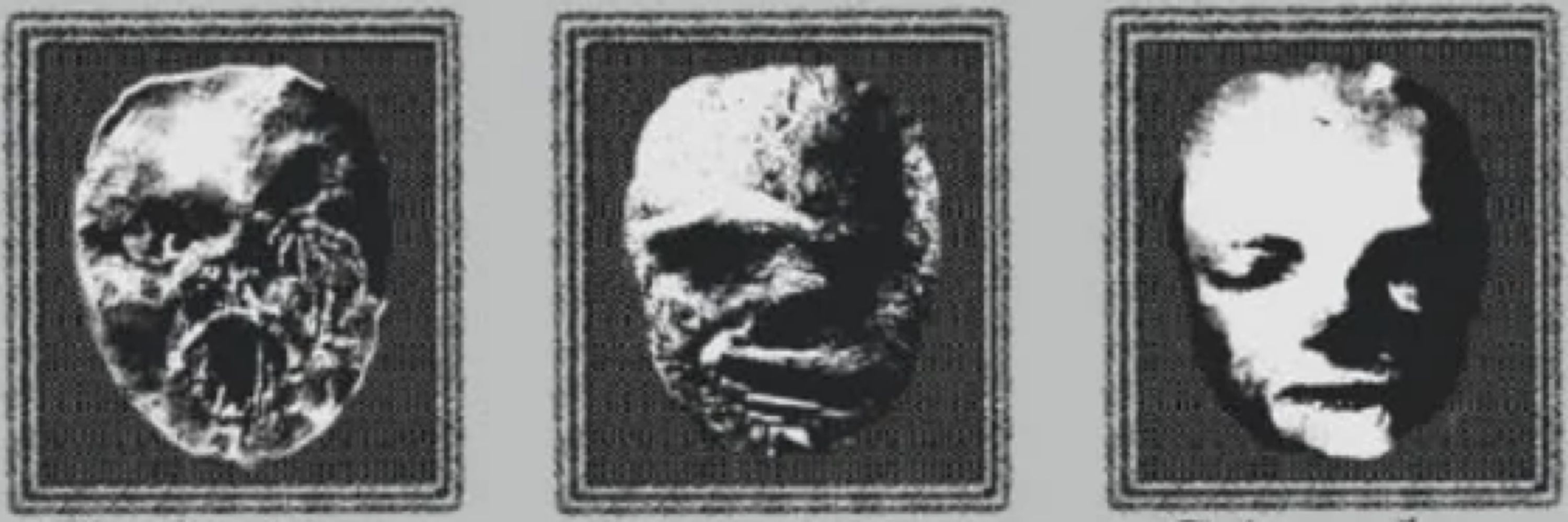 bren