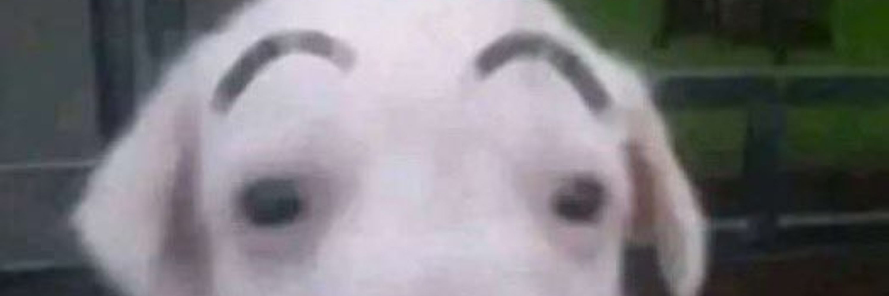 Krrrby