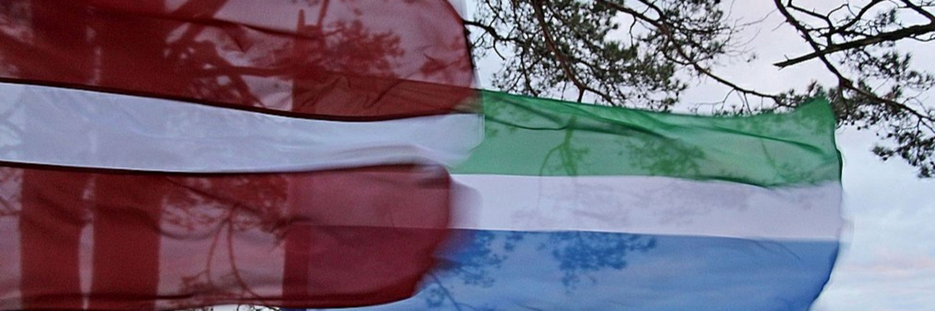 Arvīds🇱🇻🇸🇱🇺🇦