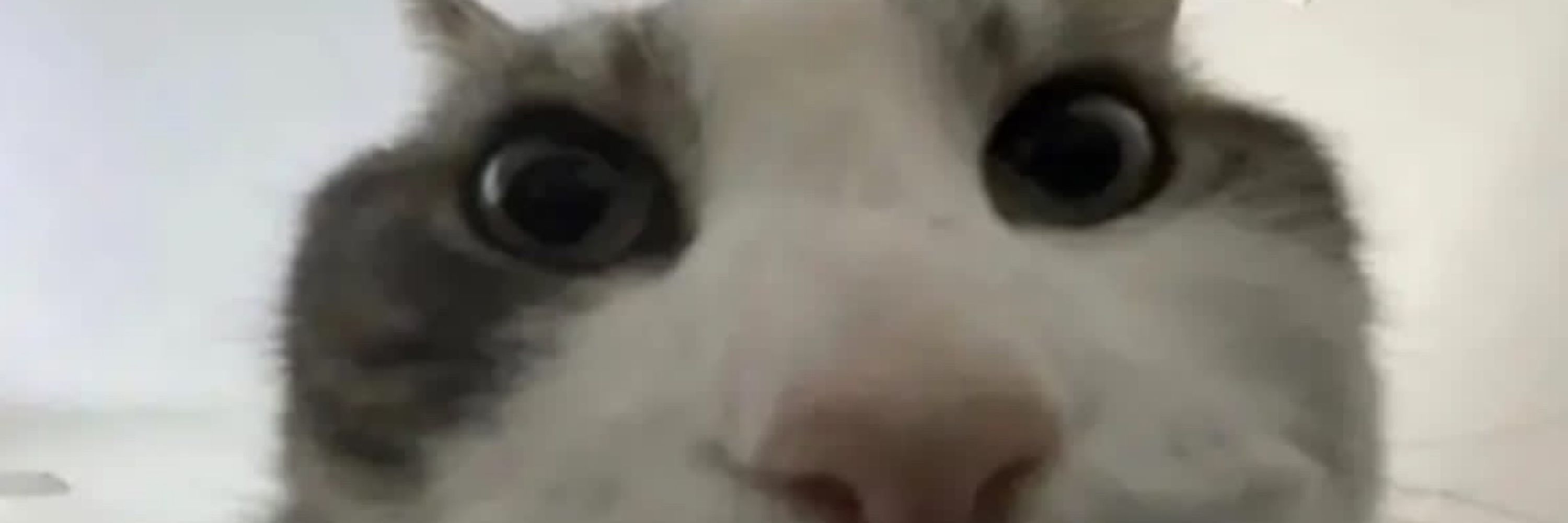 Lon
