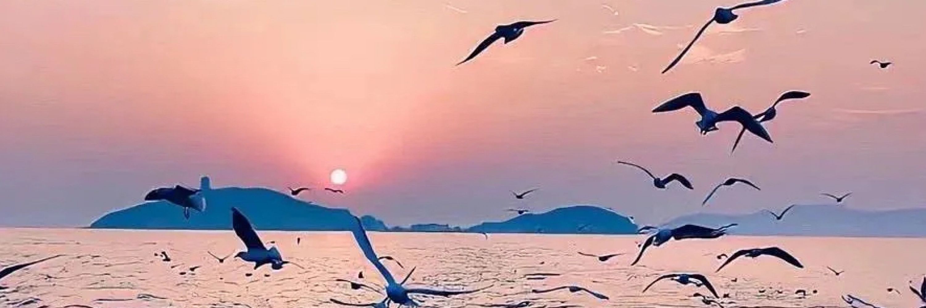 问己
