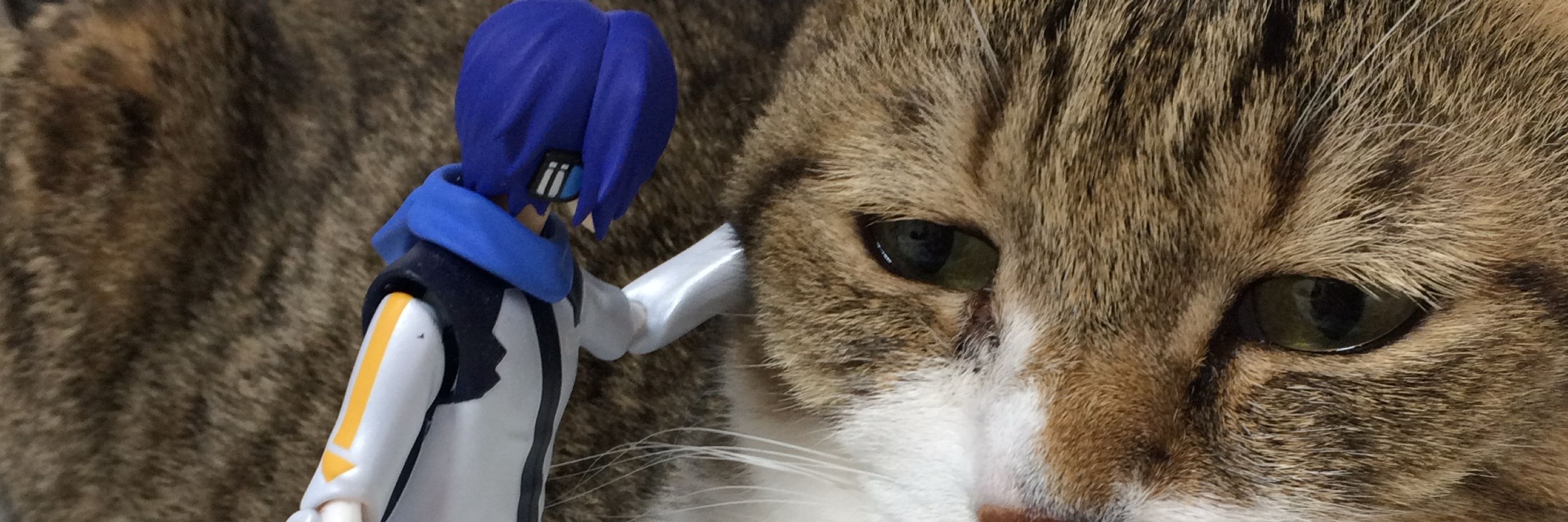 猫牙