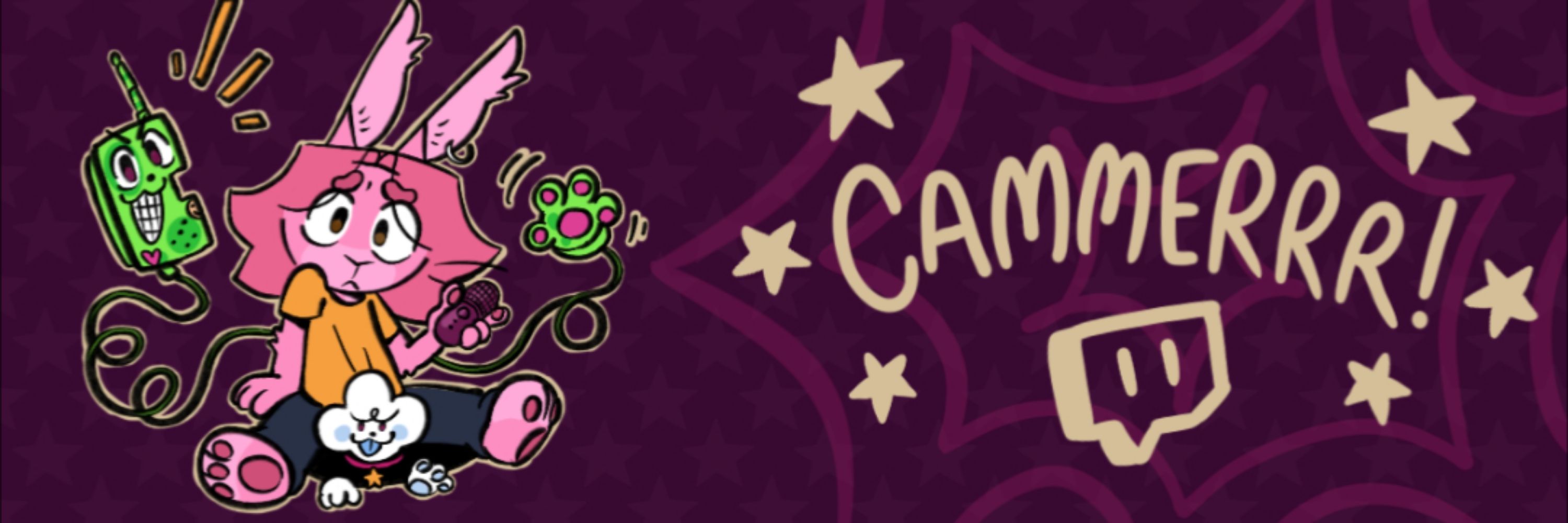 Cammer