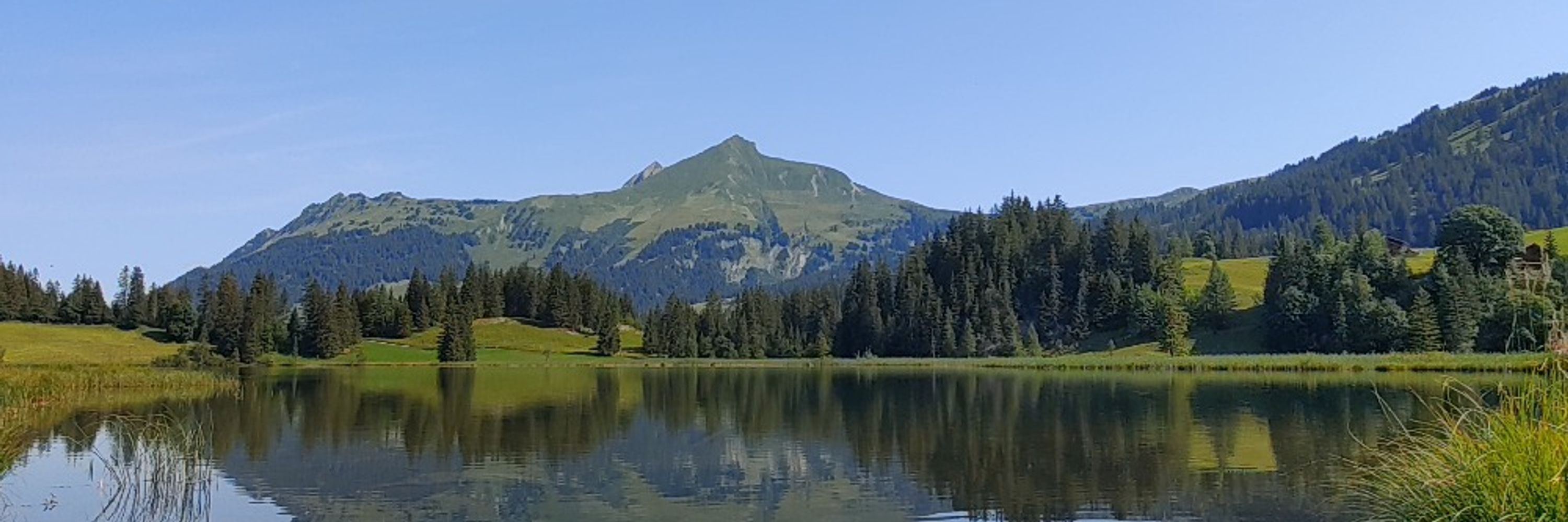 Martin Müller