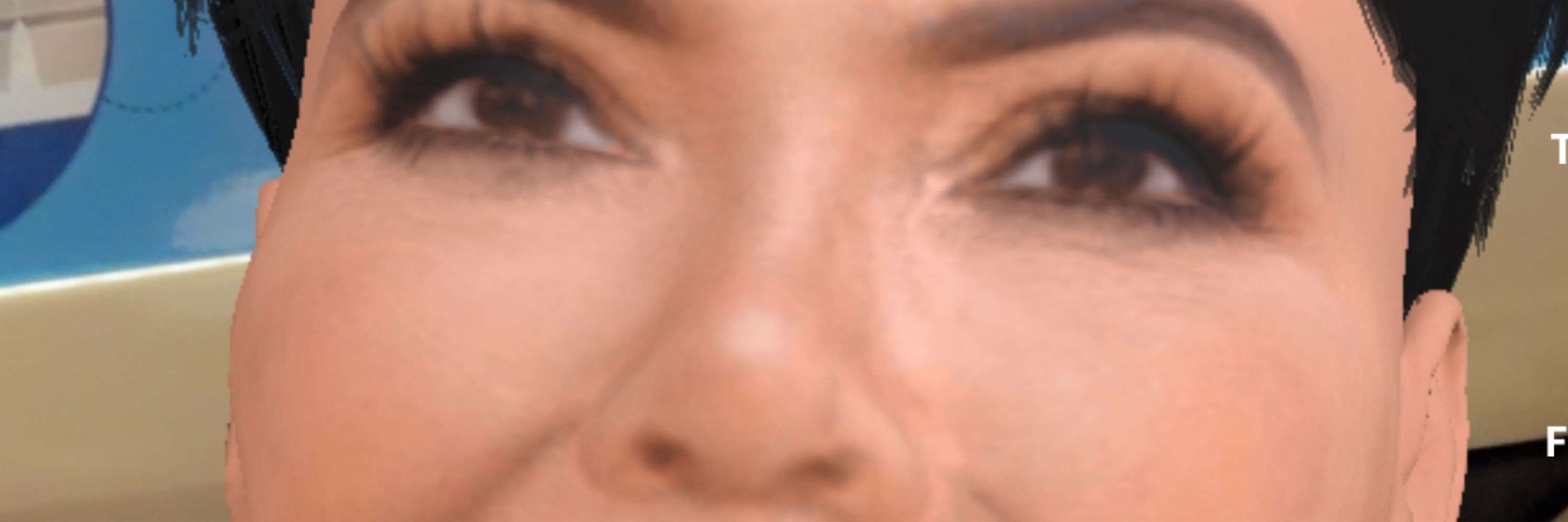 Raulo
