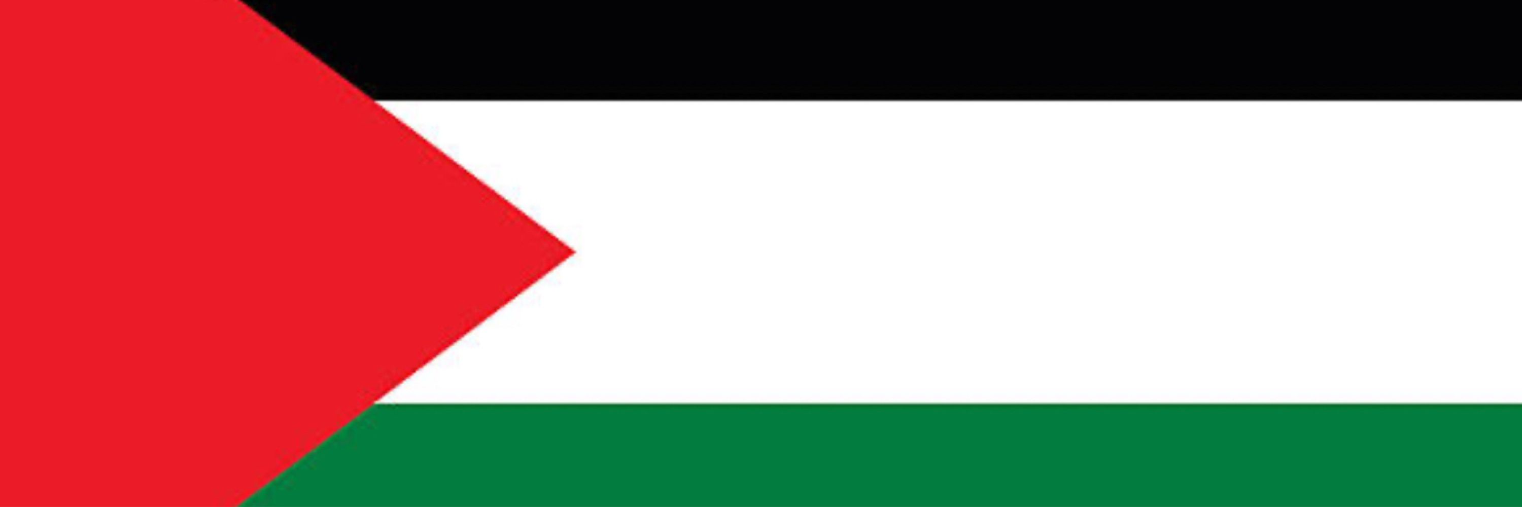 Yara Eid | يارا 🇵🇸