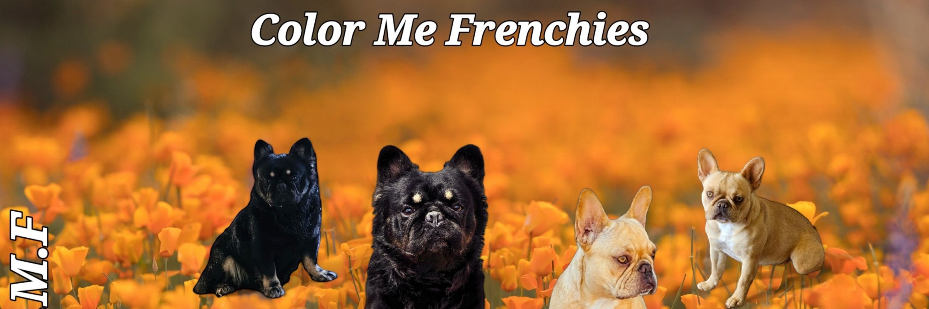 Lisa Grossi aka Color Me Frenchys/Frenchies