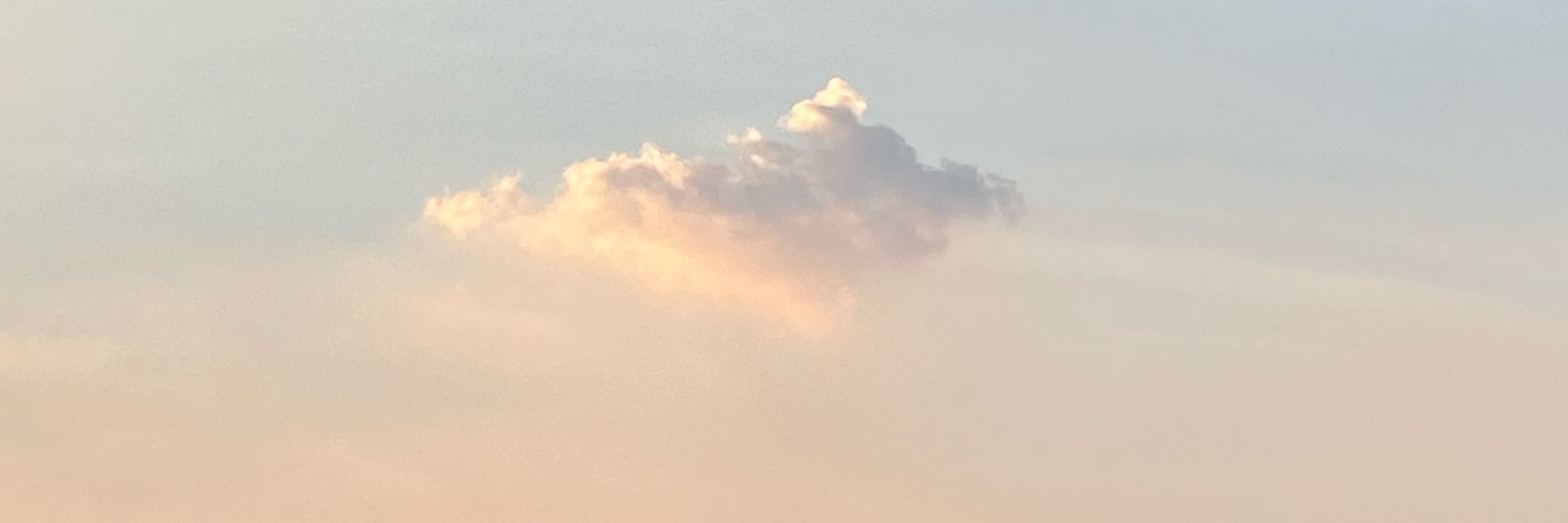 ภัคธร