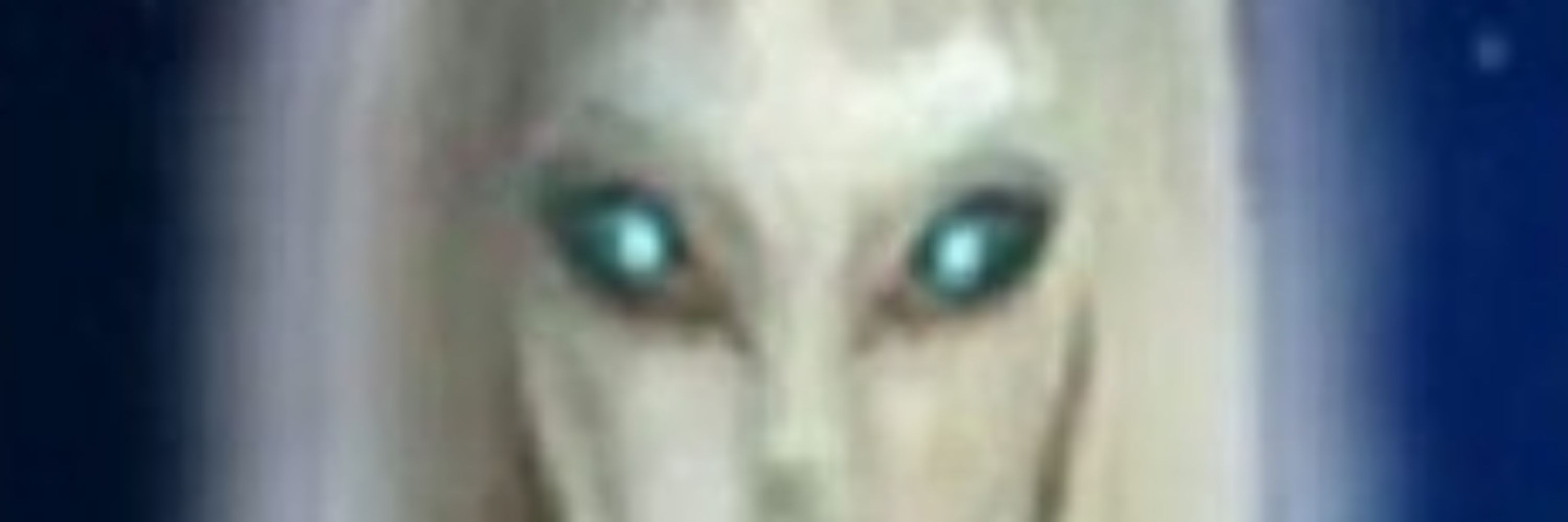 Vinícius 