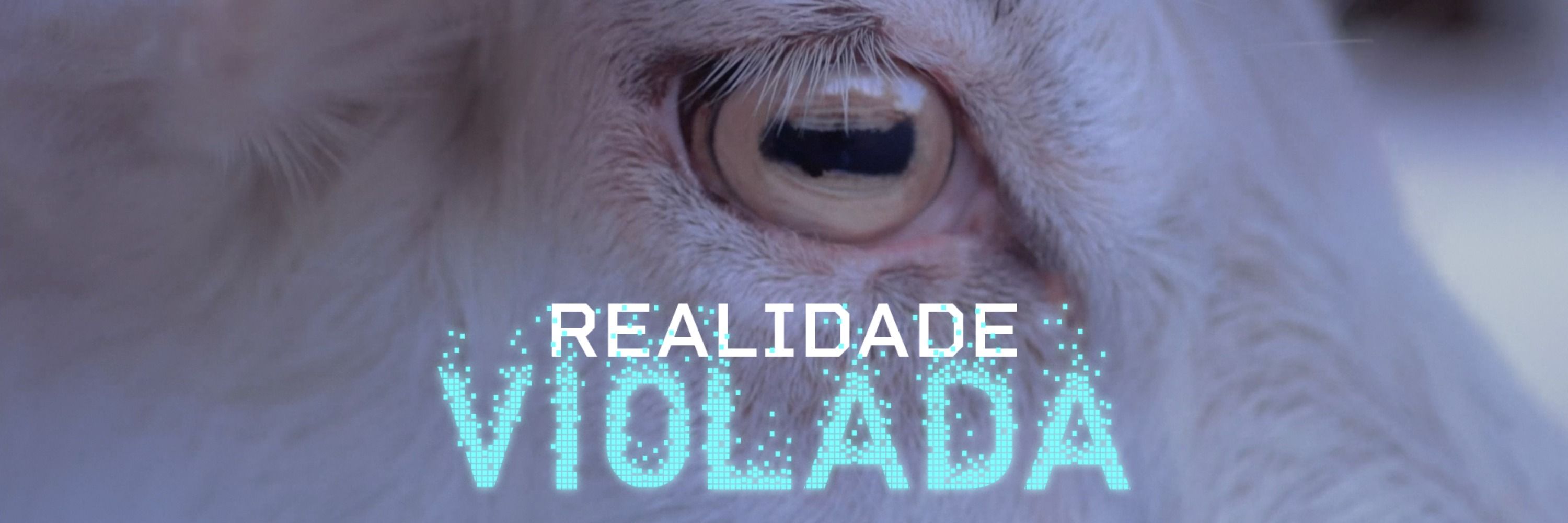 Felipe Payão 