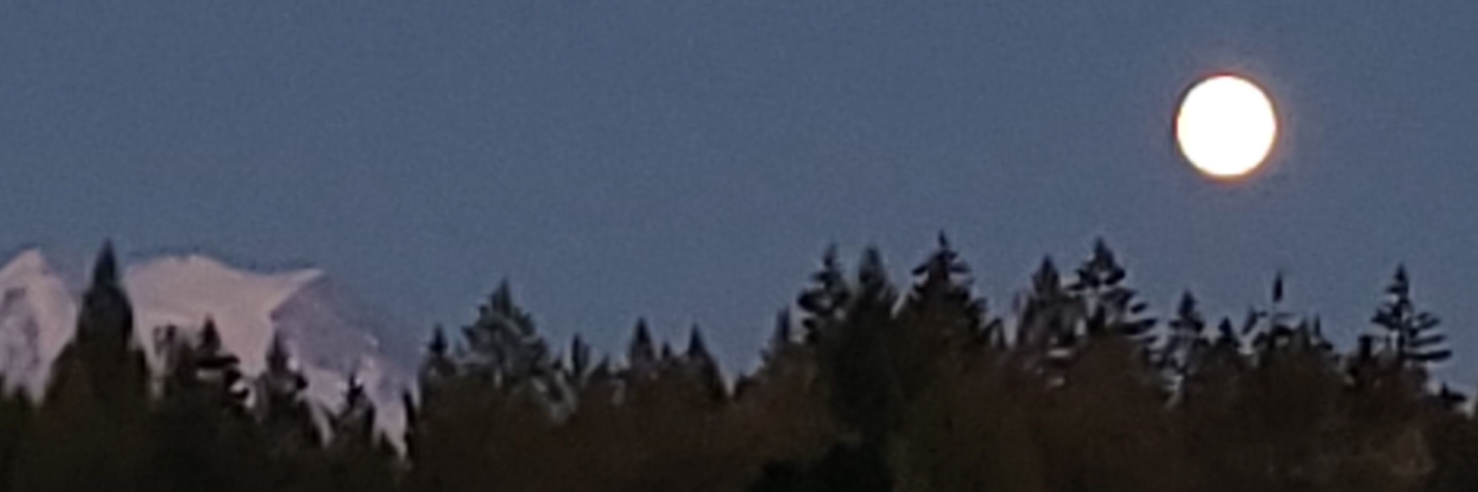 Pnw Arrow