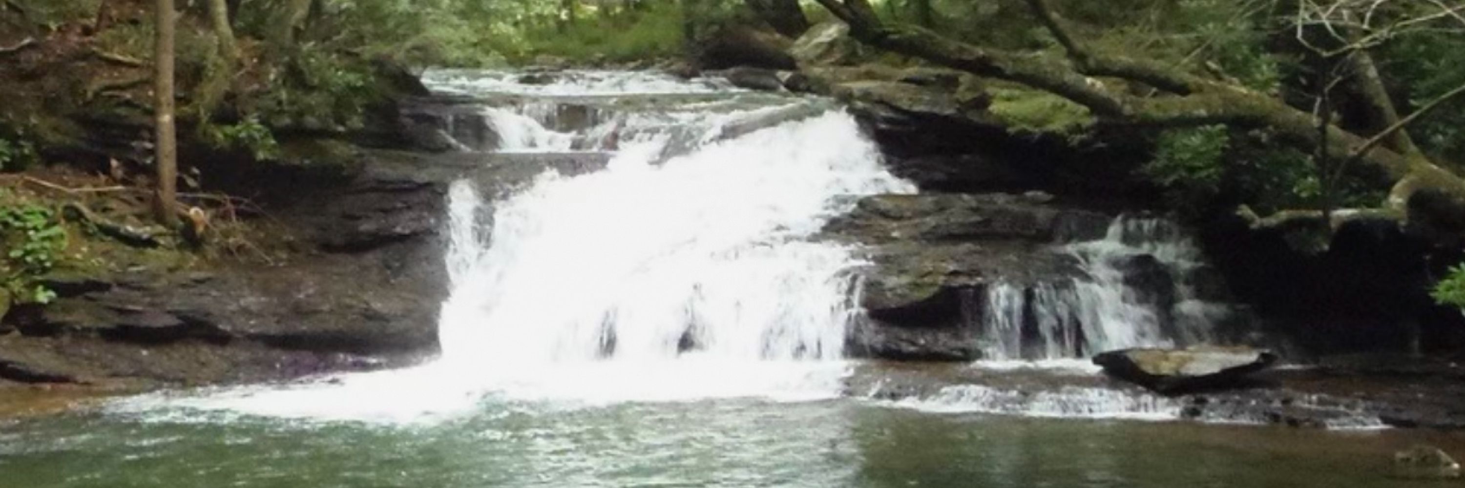 Catt Mountain