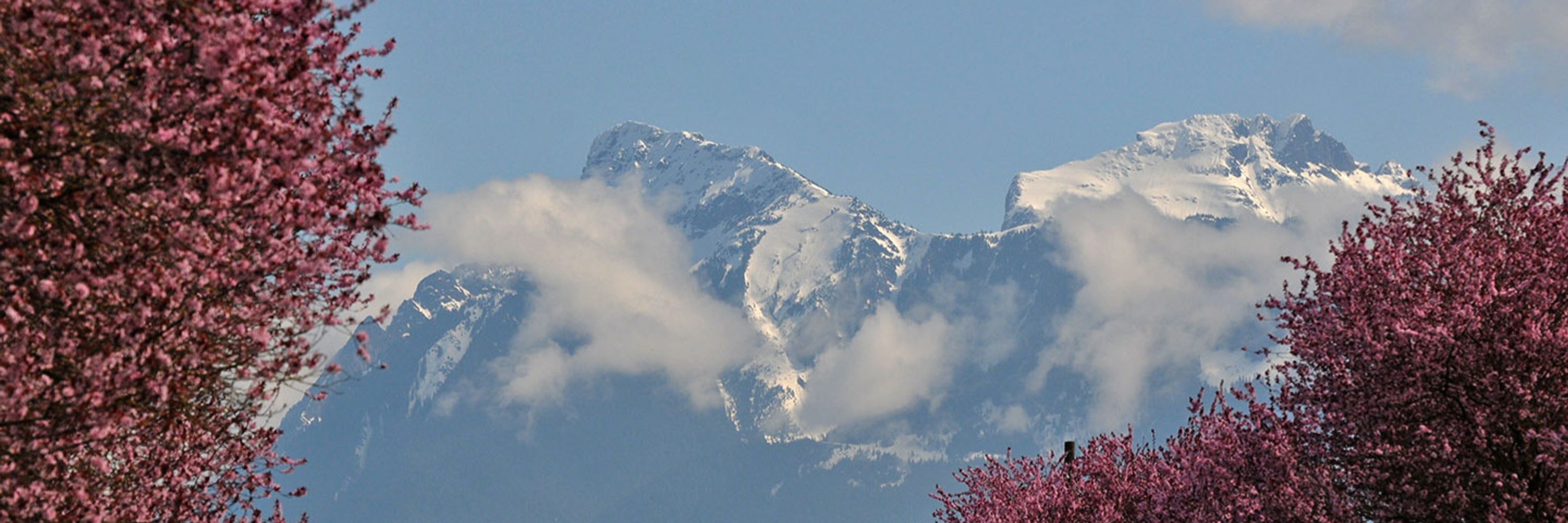 The Chilliwack Progress