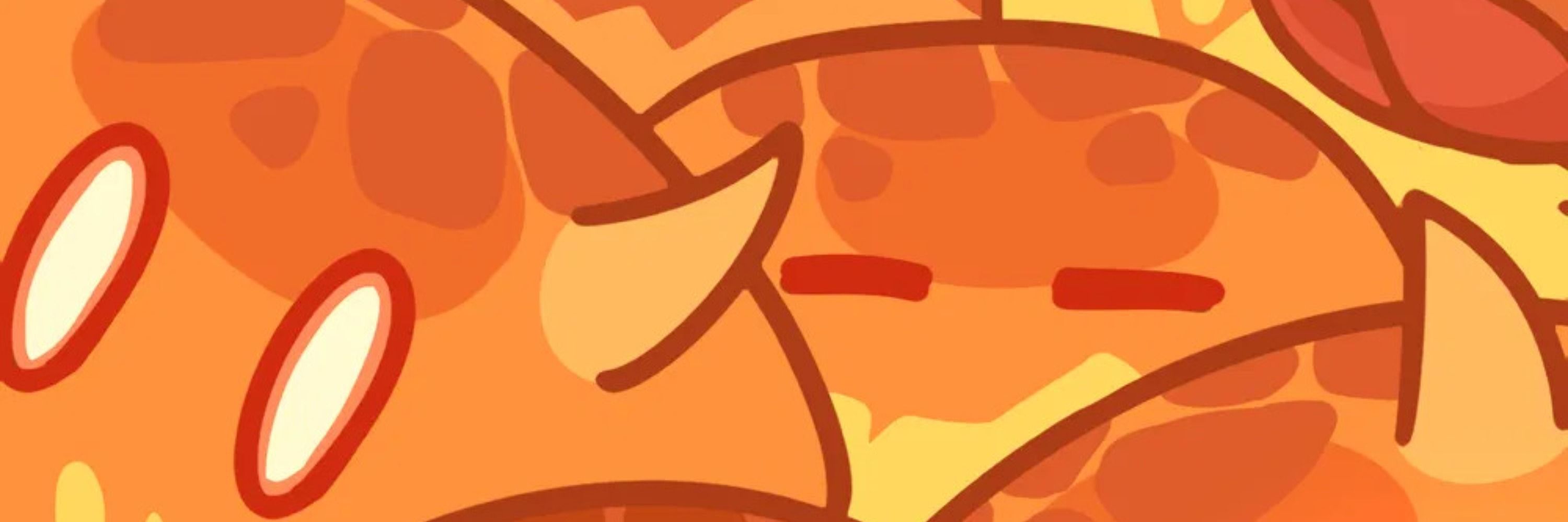 Não sou terukitty~