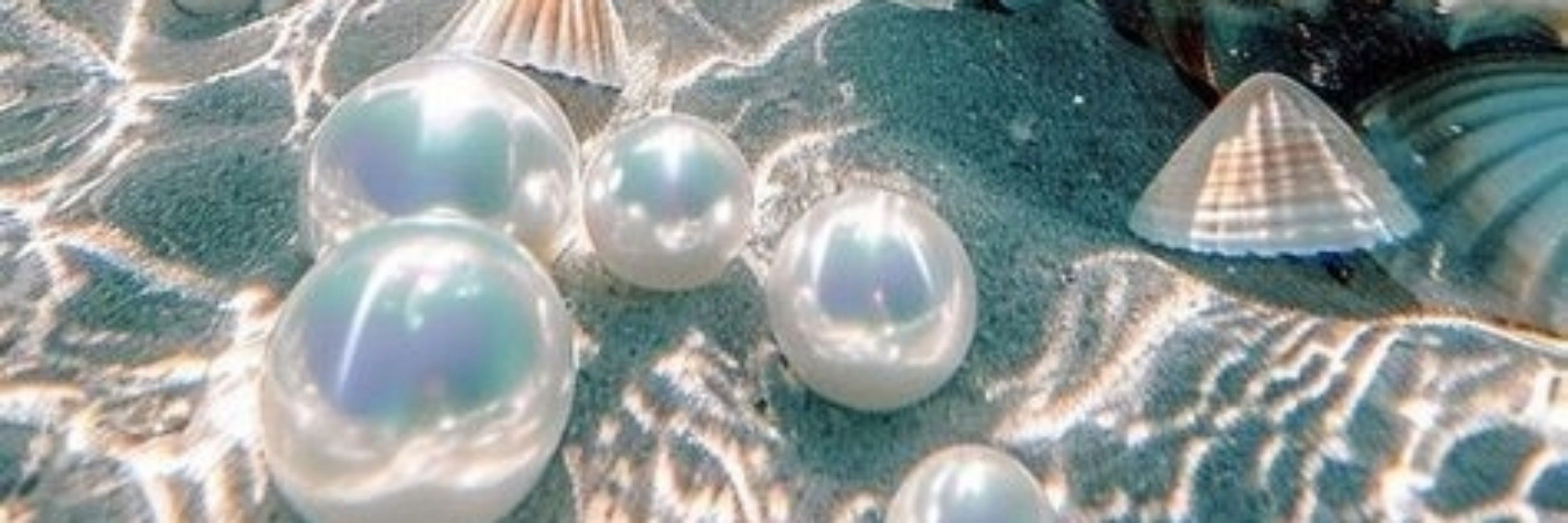 Musa Oceânica 