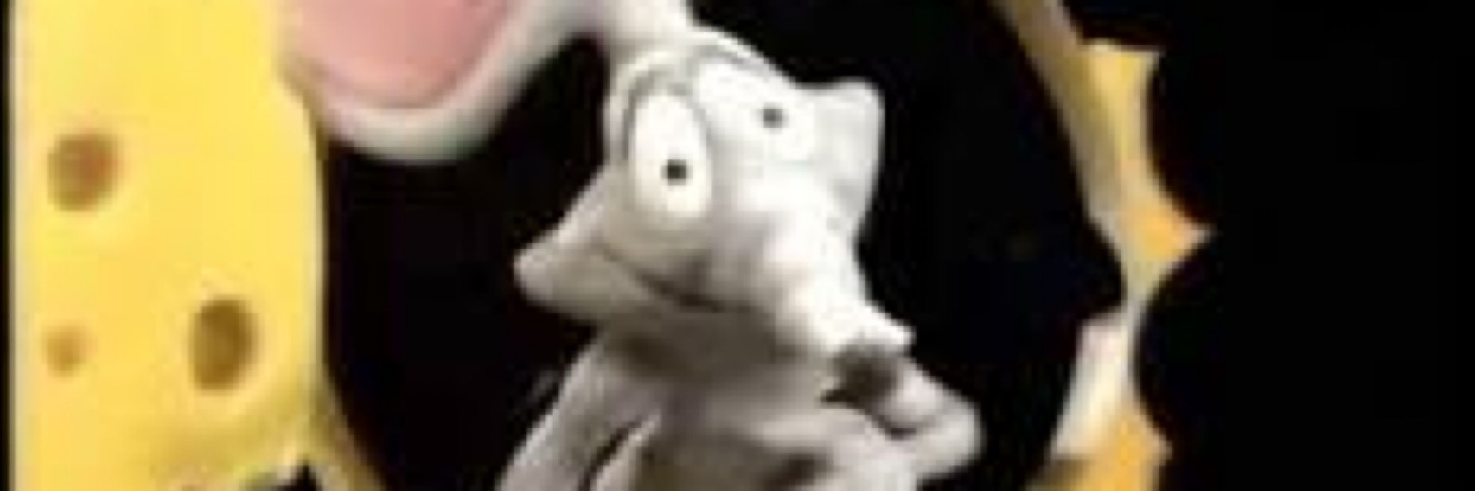 Rap Rat!
