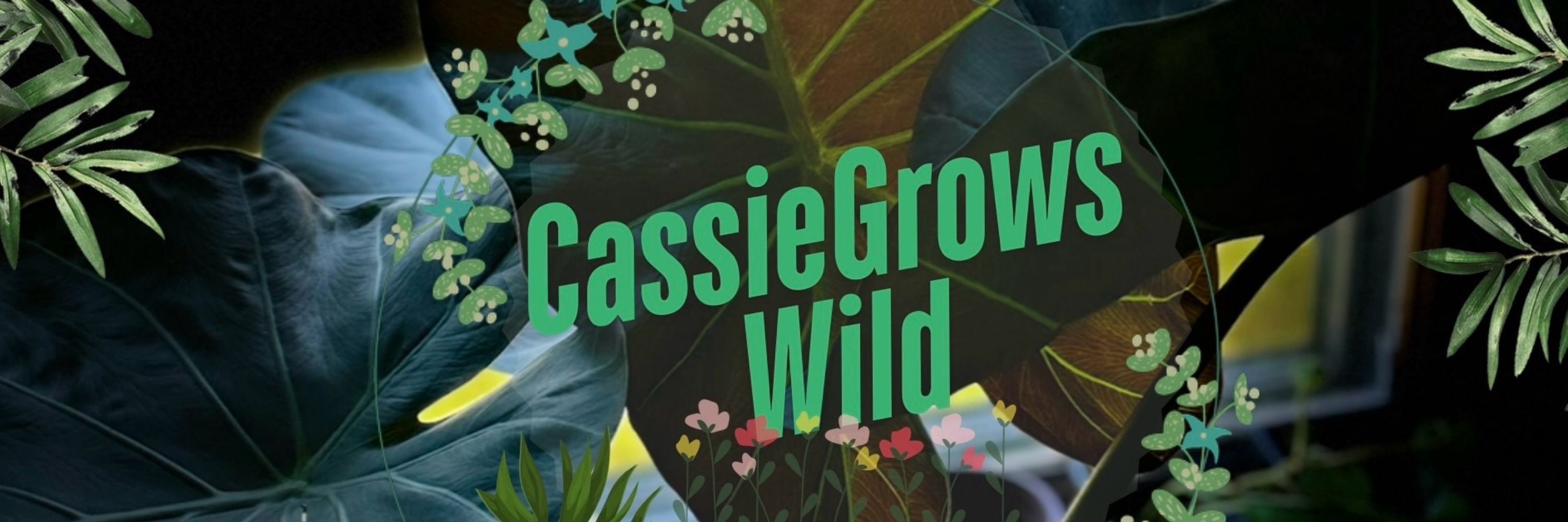 Cassiegrowswild-Houseplants