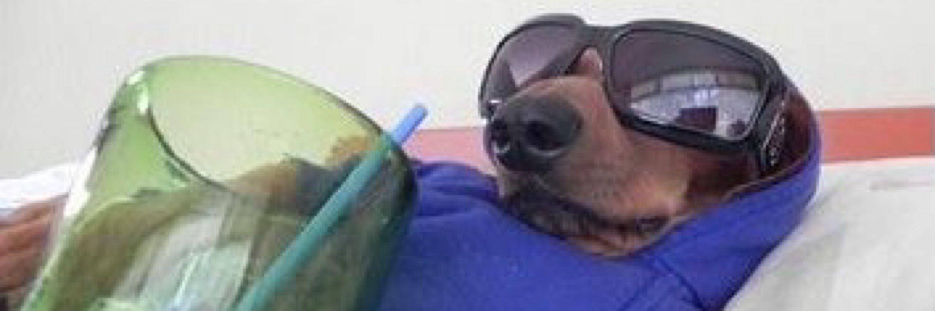 yo