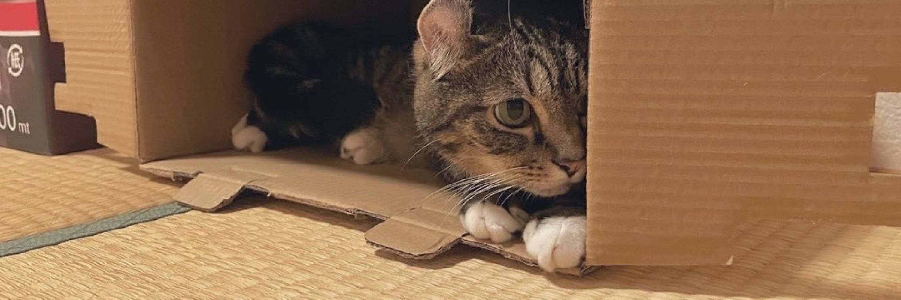 mim
