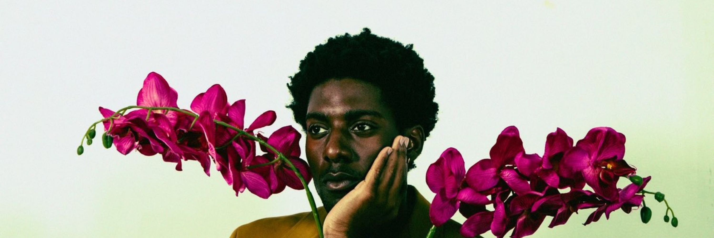 Plant Zad