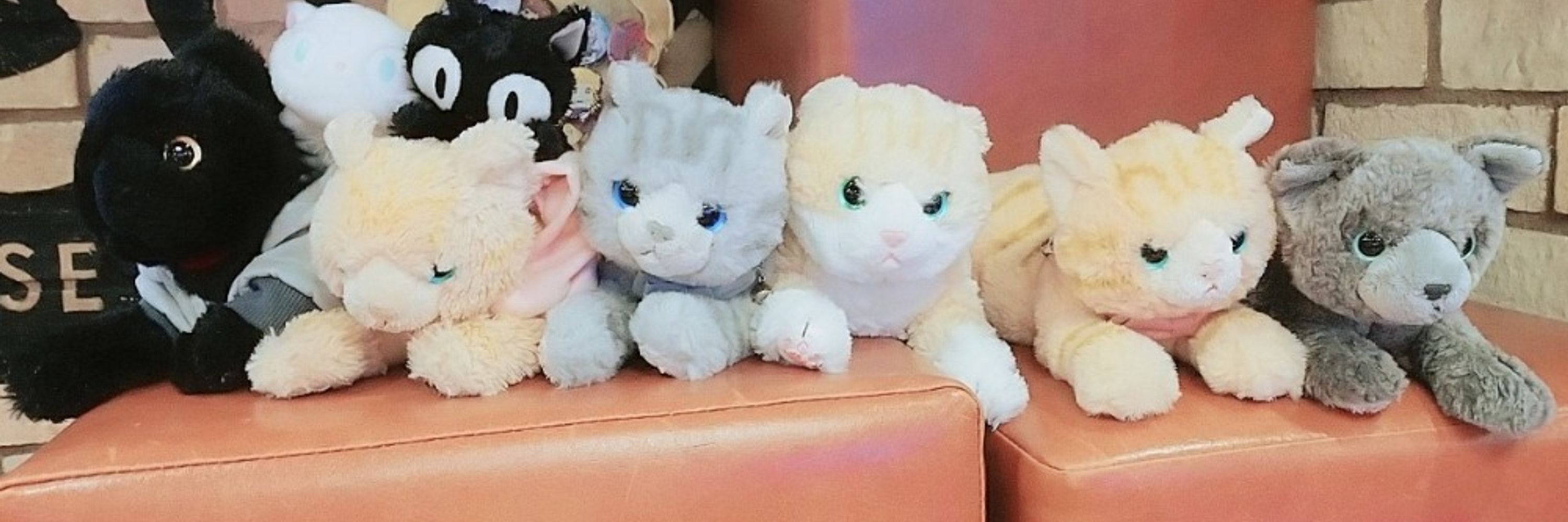 よっちー