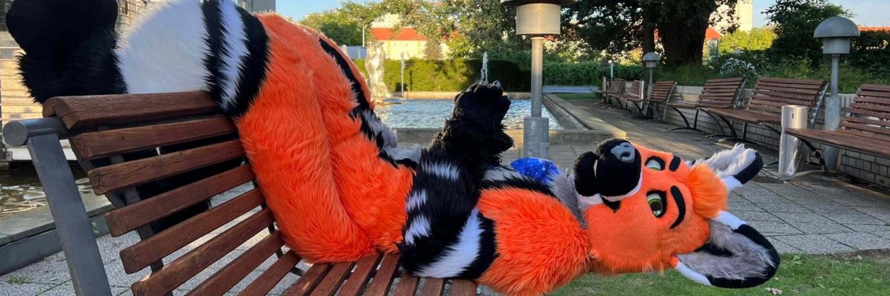 Corvus Fox 