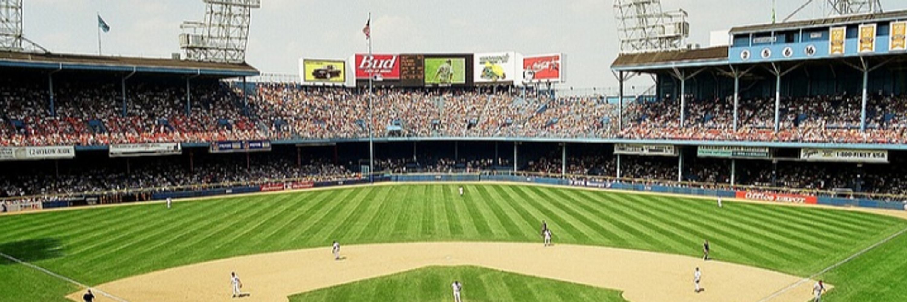 Tigers History