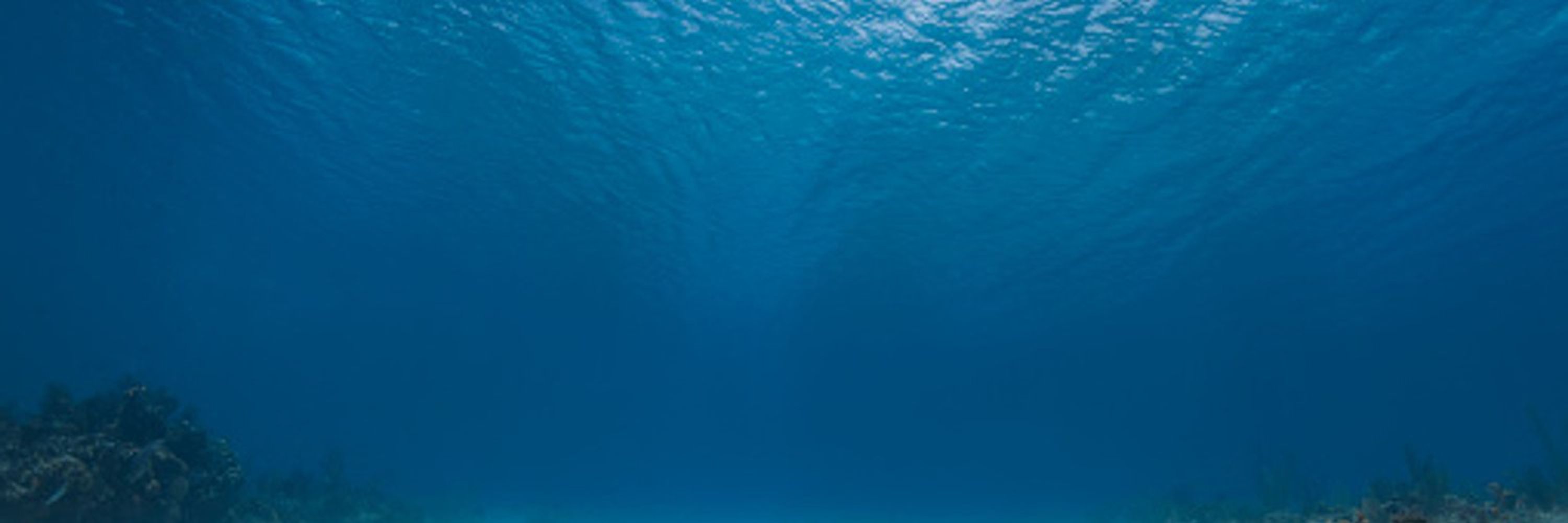 At Peace Underwater