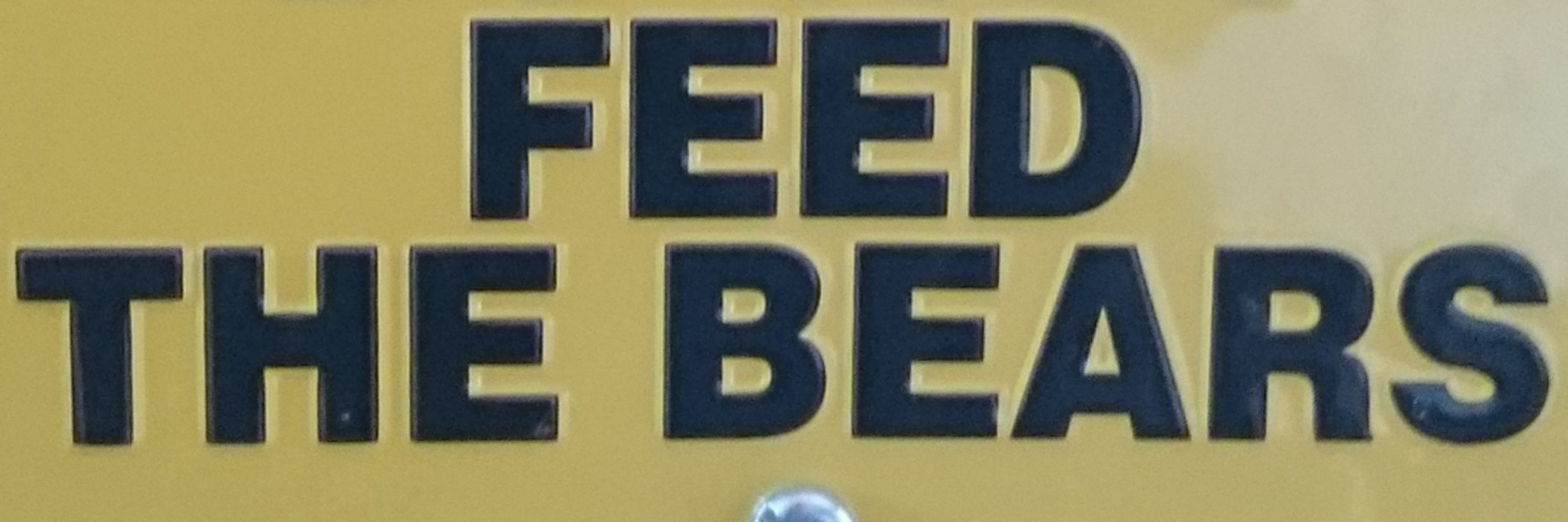 BearowBoy