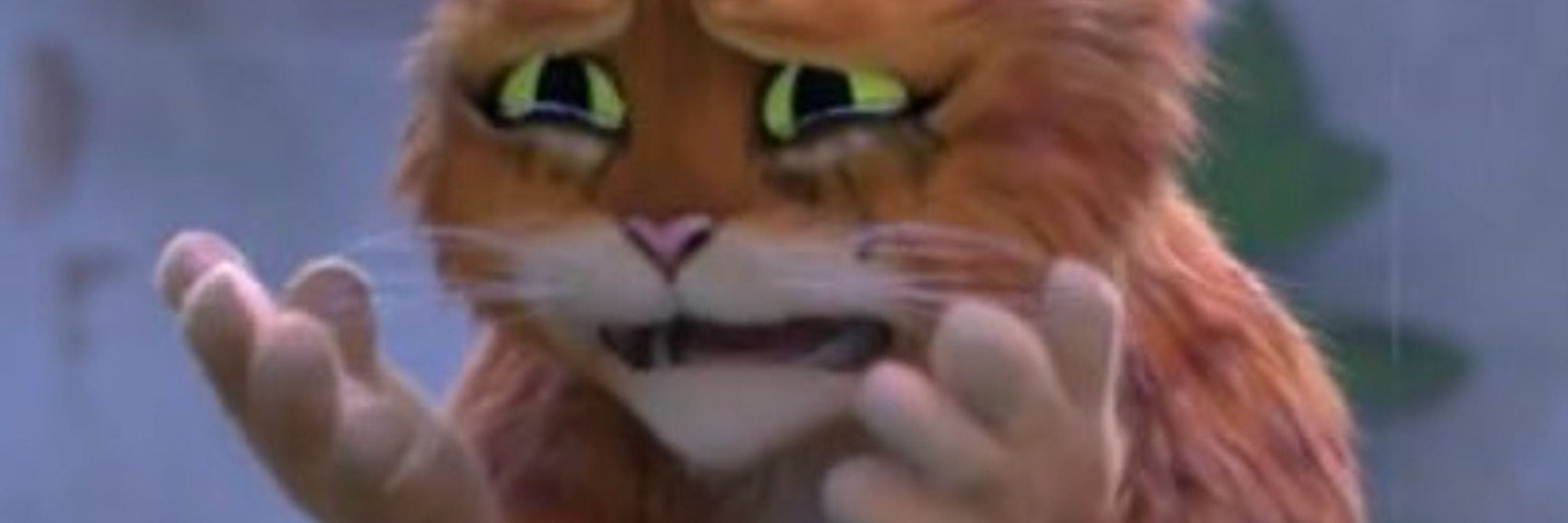Pancakecat
