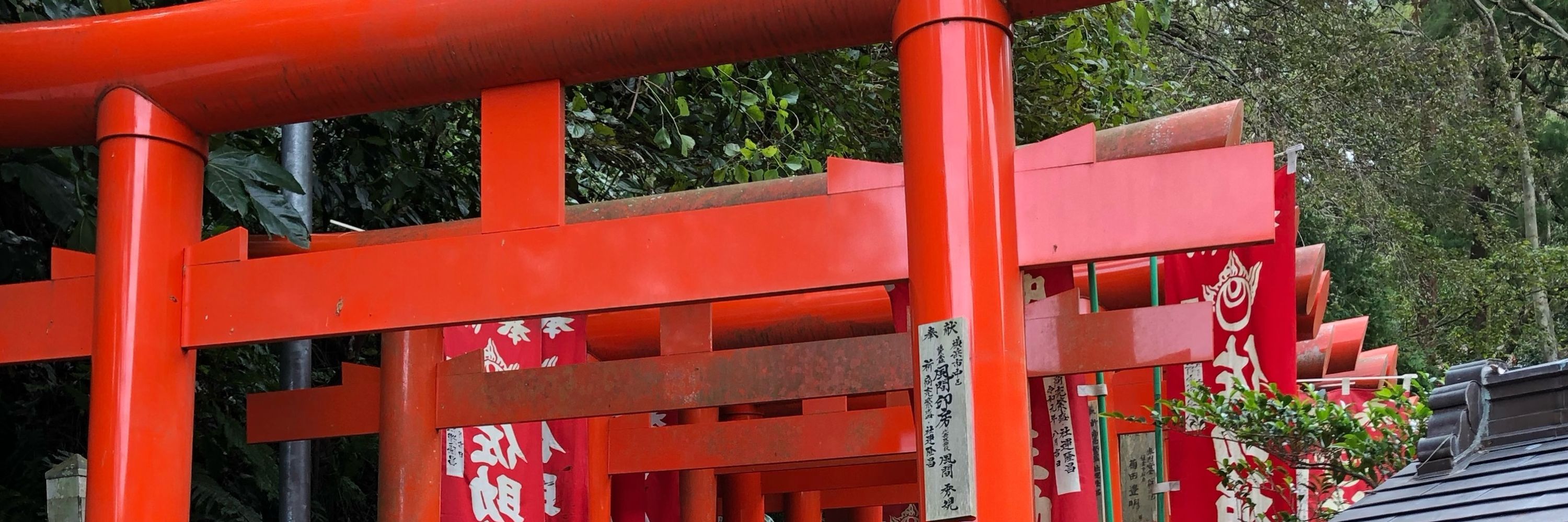 忍野佐輔