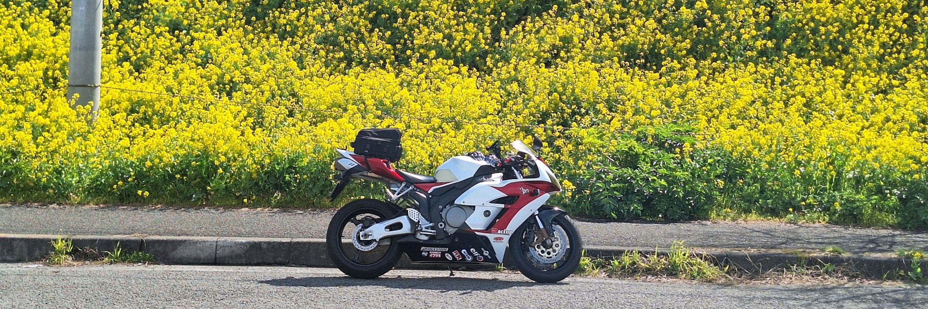 チュービング・サイクロン