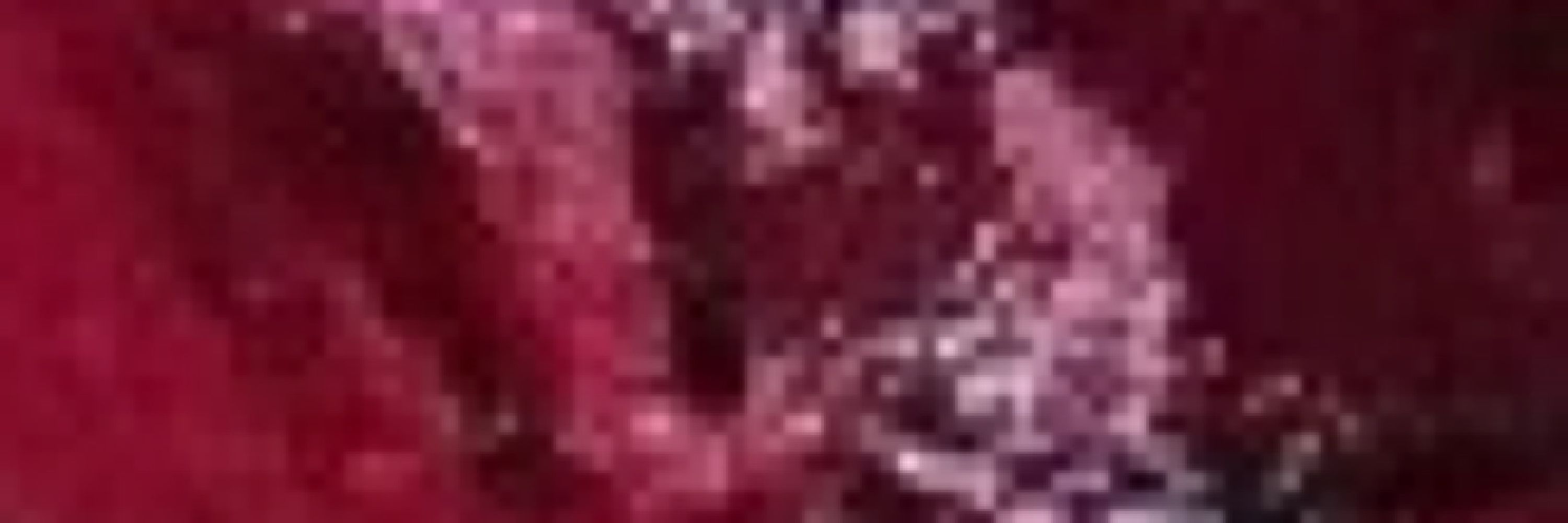 S4V