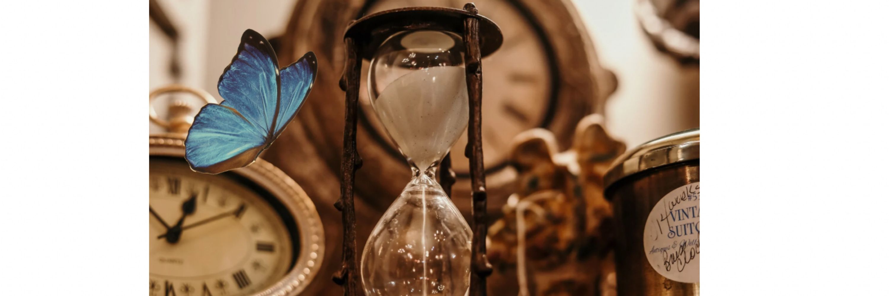 みこ🦋⏳