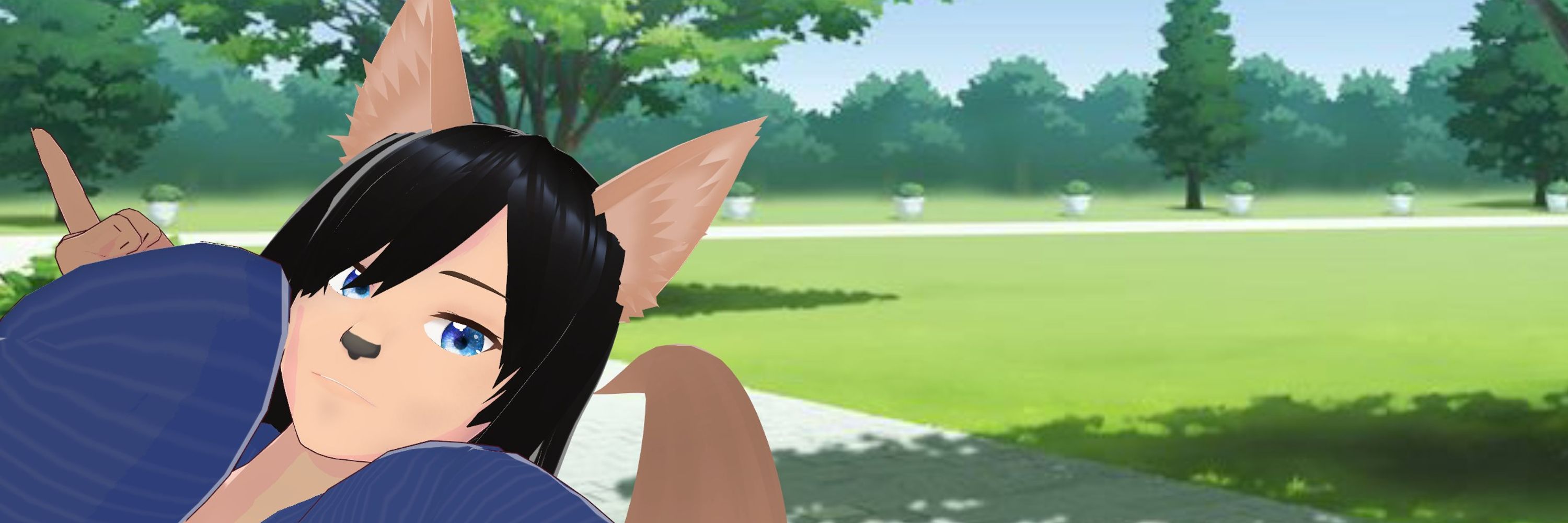 banner