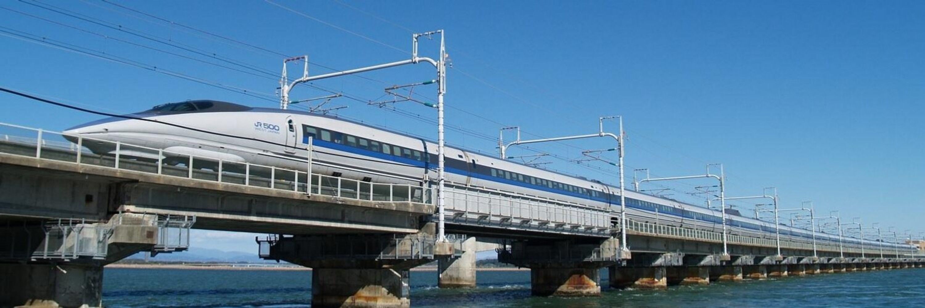 だいこん