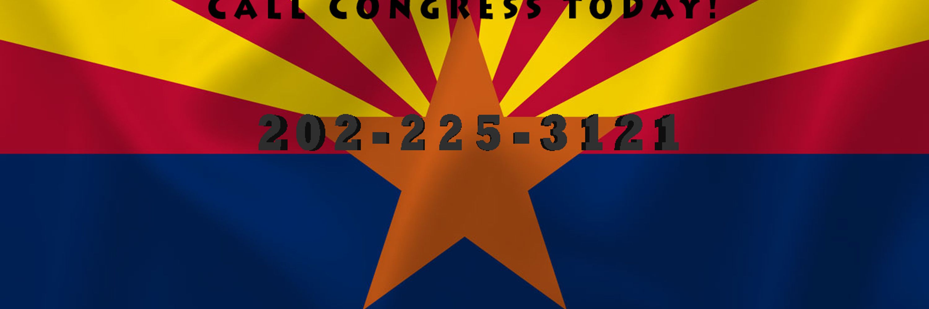 Arizona Indivisible   🇺🇸🌵💪