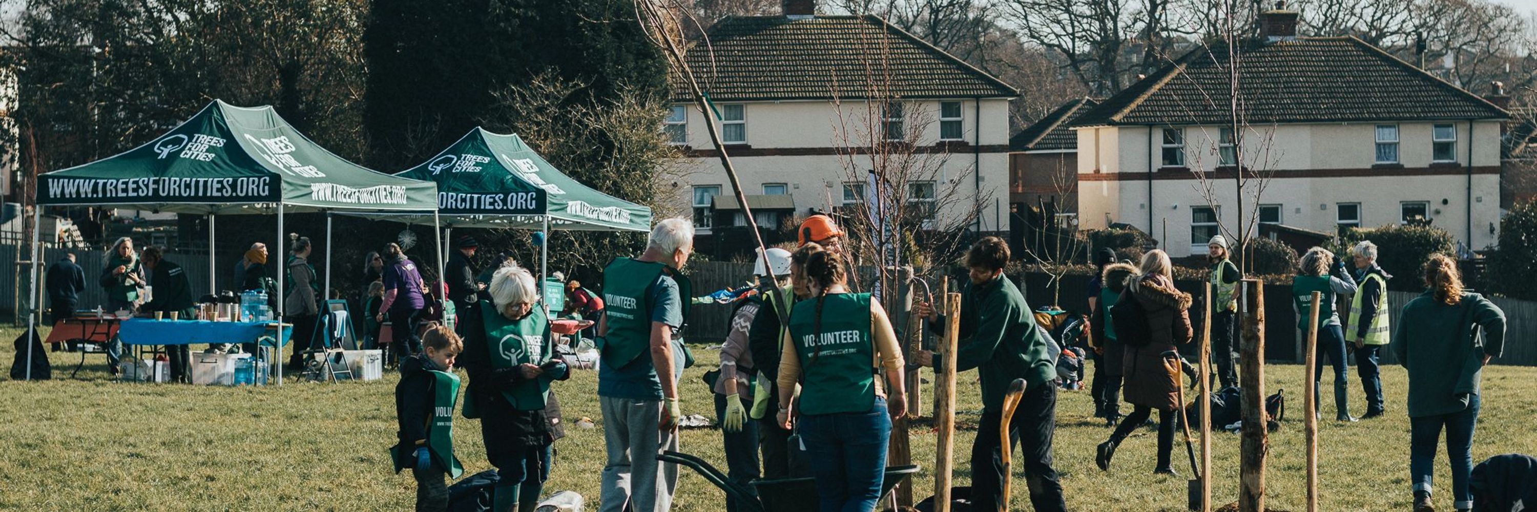 Trees for Cities