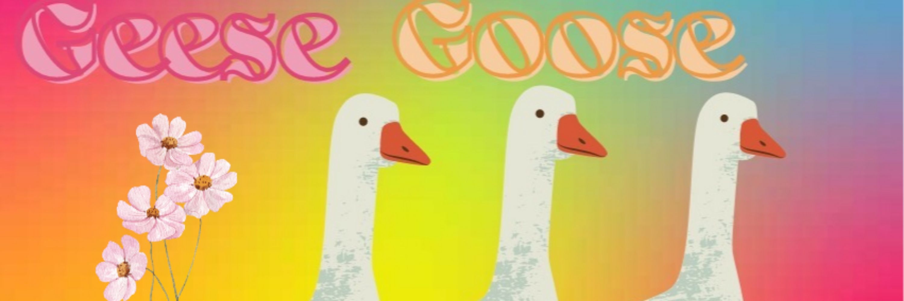 Geese Goose Shop