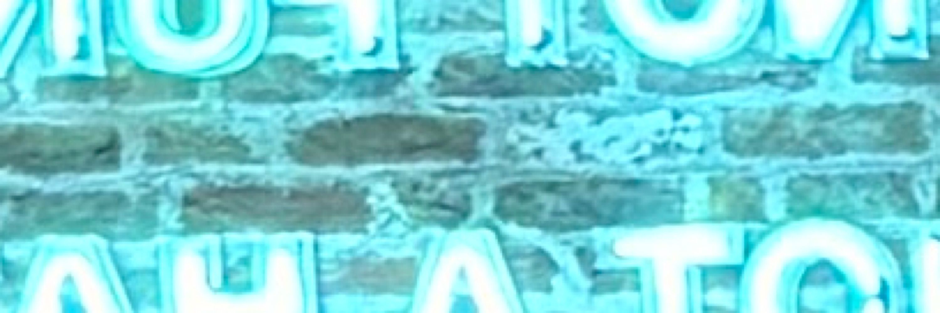 eaeaea