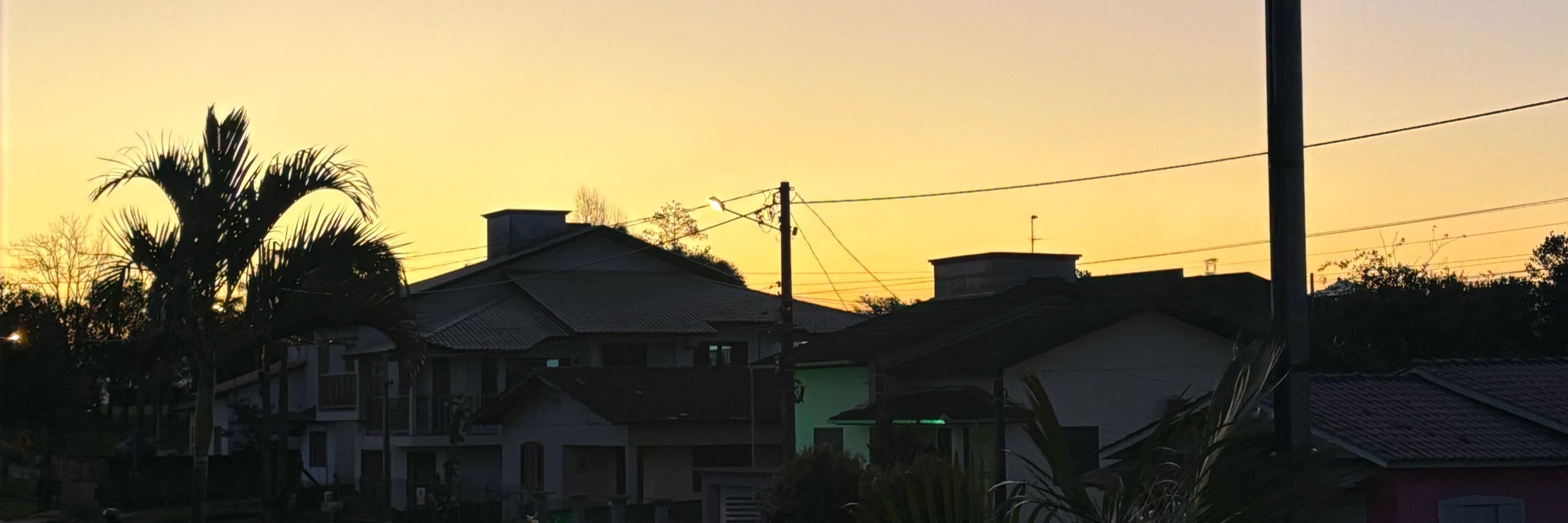 Ju