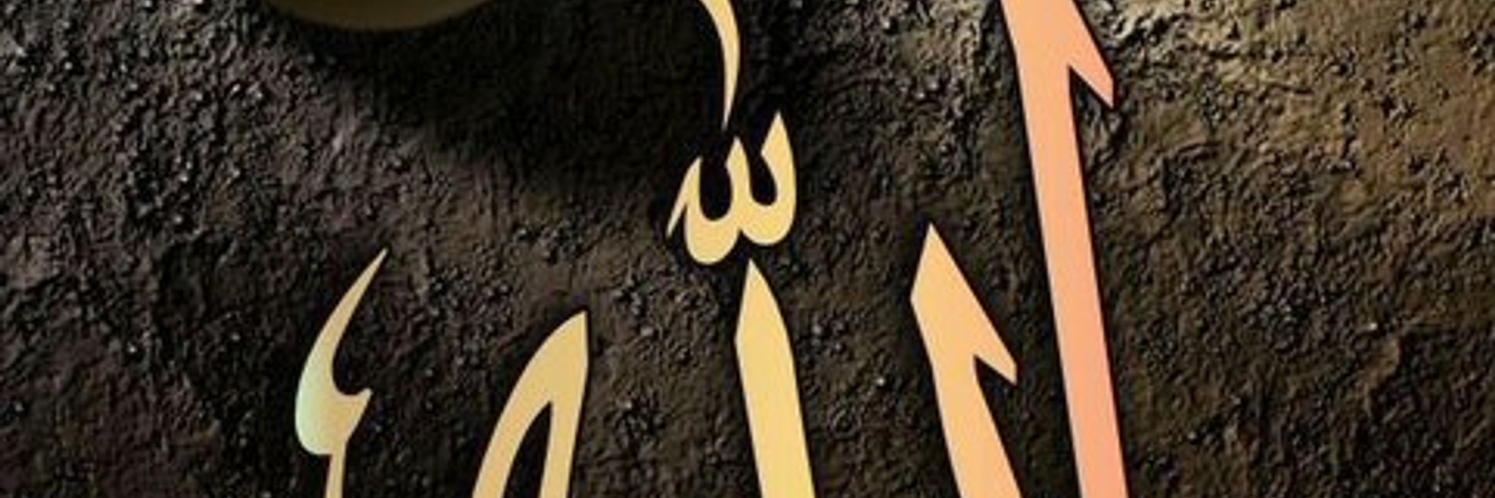 Abu-al-Hassan Warraich (804)