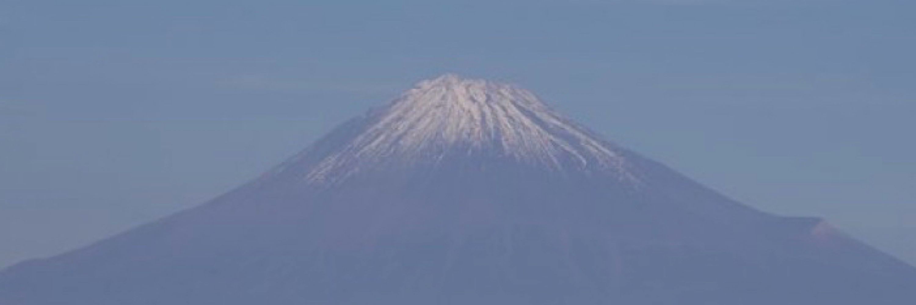 いわきき