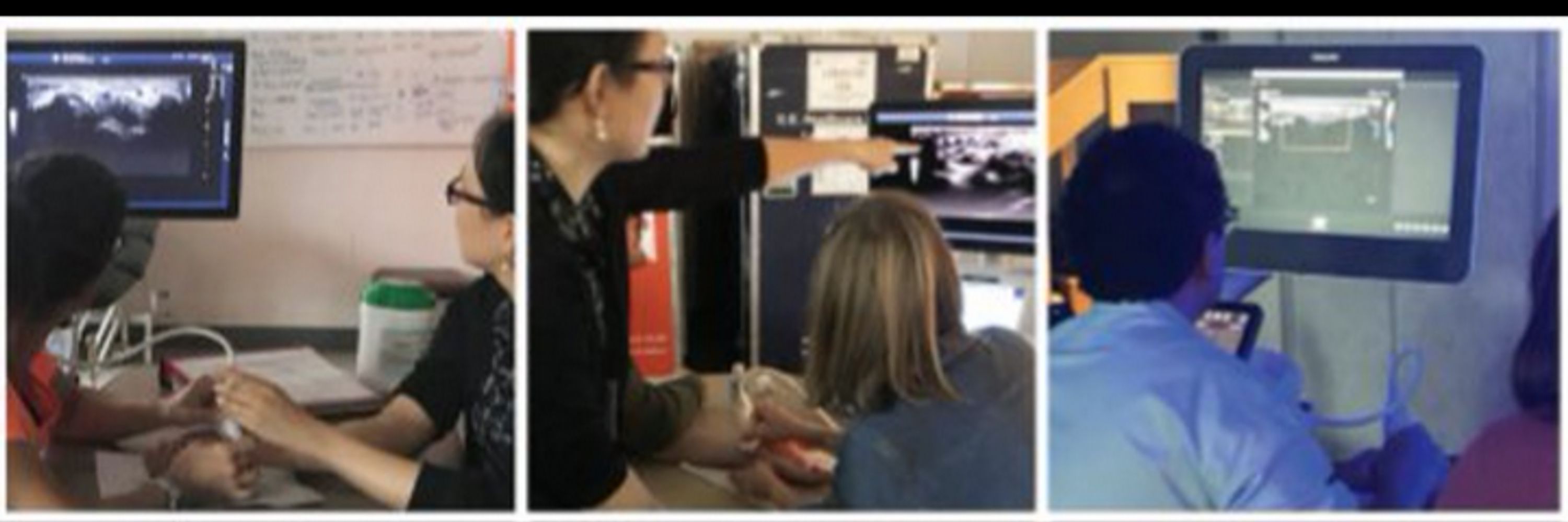 Canadian Rheumatology Ultrasound Society