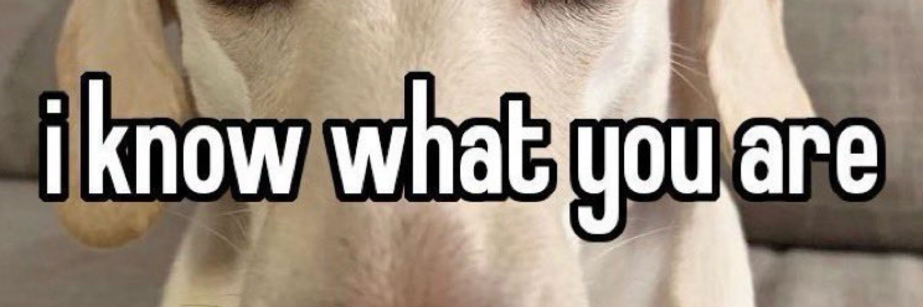JG WENTWORTH #DONG4ADAY